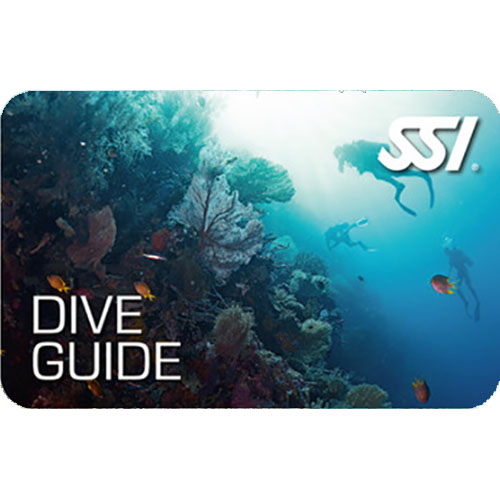 Dive Guide SSI